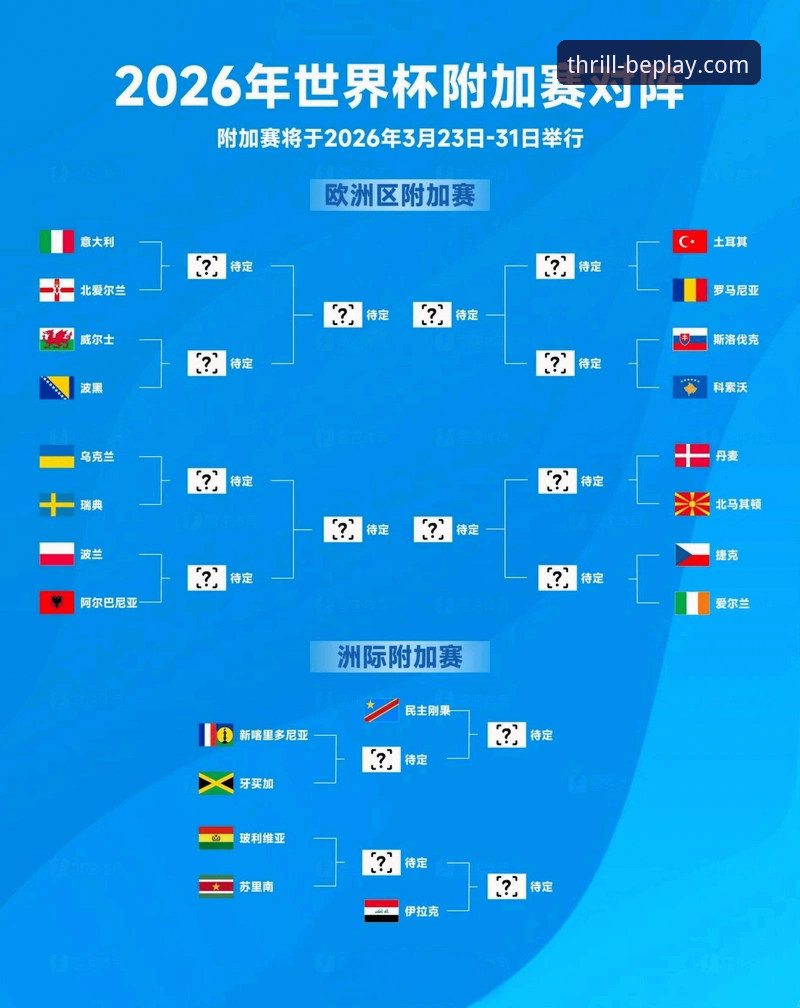 资深用户分享：从beplay体育官网看意大利出局，理解足球世界的实用指南